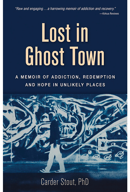 Lost in Ghost Town - Book Cover